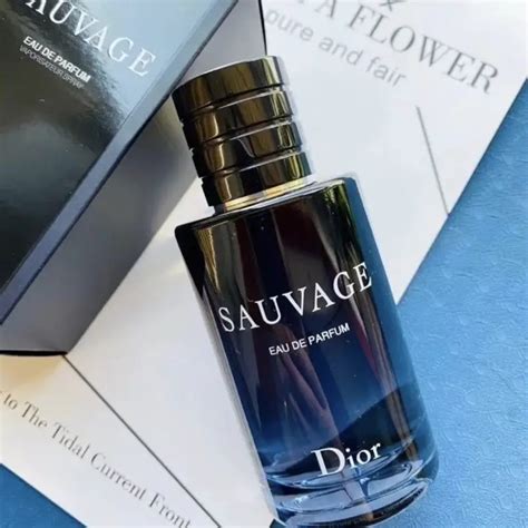 dior sausavge|what does dior sauvage smell like.